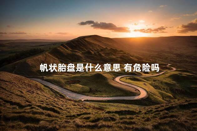 帆状胎盘是什么意思 有危险吗